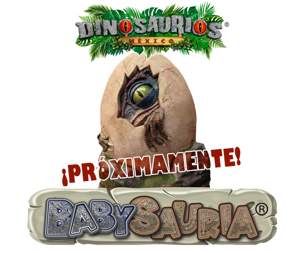 Imagen en popup